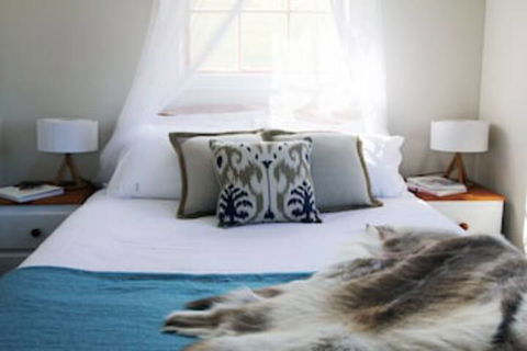 Wines For Joanie Cottage - Phillip Island Accommodation 0