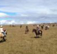 Susan River Homestead - Phillip Island Accommodation