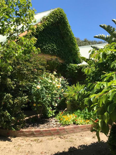 The Fingal Farm - Phillip Island Accommodation 2