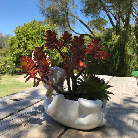 The Fingal Farm - Phillip Island Accommodation 3