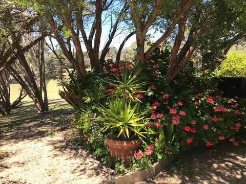 The Fingal Farm - Phillip Island Accommodation 6