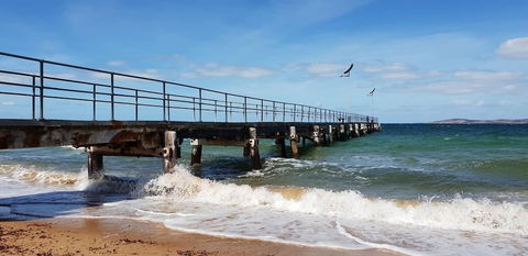 Port Lincoln Caravan Park - Phillip Island Accommodation 3