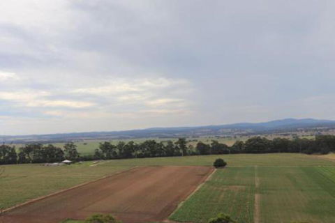 Snowy River Homestead - Phillip Island Accommodation 5