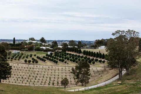 Rivendell East Gippsland - Phillip Island Accommodation 6