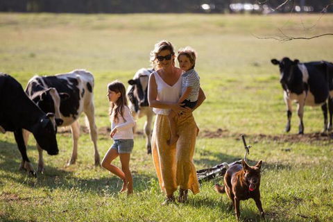 Redgate Forest Retreat - Phillip Island Accommodation 4