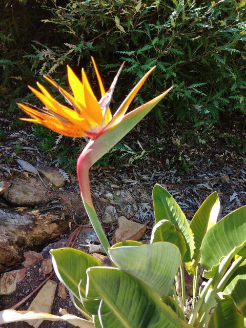 Blue Waters Holiday Cottages For 2 - Phillip Island Accommodation 4