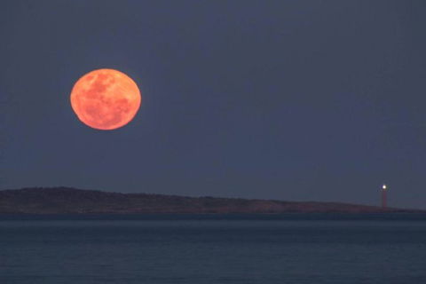 Blue Waters Holiday Cottages For 2 - Phillip Island Accommodation 5