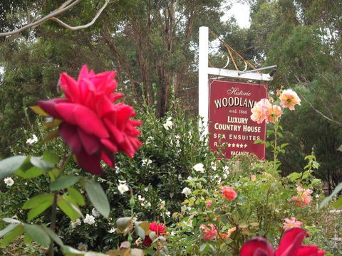 Woodlands Of Bridgetown B & B - Phillip Island Accommodation 5