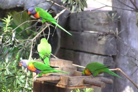 Kianinny Bush Cottages - Phillip Island Accommodation 1