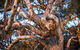 Dragonfly Cottages - thumb 4