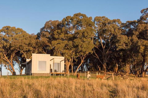 Dragonfly Cottages - Phillip Island Accommodation 5
