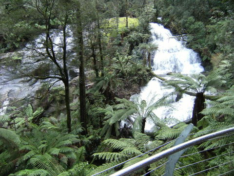 Arabella Country House - Phillip Island Accommodation 6