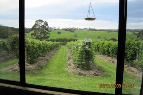 Pennyroyal Raspberry Farm & Cidery - Phillip Island Accommodation 0