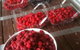 Pennyroyal Raspberry Farm & Cidery - thumb 7