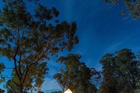 Cosy Tents - Daylesford - Phillip Island Accommodation 1