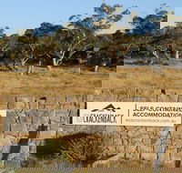 Ecocrackenback 16 'Sustainable chalet close to the slopes.' - Phillip Island Accommodation