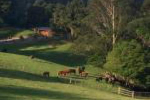 Amaroo Valley Springs - Phillip Island Accommodation 0