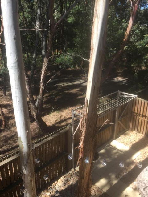 Tangles - Phillip Island Accommodation 6