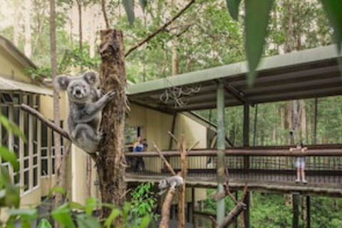 Springwood Meditation Vacation Center - Phillip Island Accommodation 0