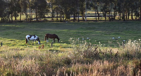 Labertouche Gypsy Creek Winery - Phillip Island Accommodation 3