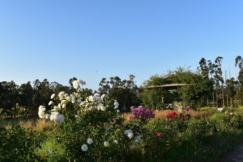 Labertouche Gypsy Creek Winery - Phillip Island Accommodation 0