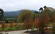 Labertouche Gypsy Creek Winery - thumb 5
