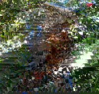 Rain Forest Gem - Phillip Island Accommodation