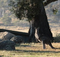 Ecocrackenback 2 Sustainable chalet close to the slopes. - Phillip Island Accommodation