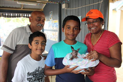 Holiday Haven Burrill Lake - Phillip Island Accommodation 0