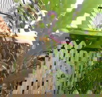 Seaside Hideaway at Clifton Beach