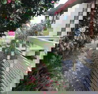 The Glen Family House - Phillip Island Accommodation