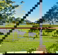 Curra Homestead Maleny - Phillip Island Accommodation