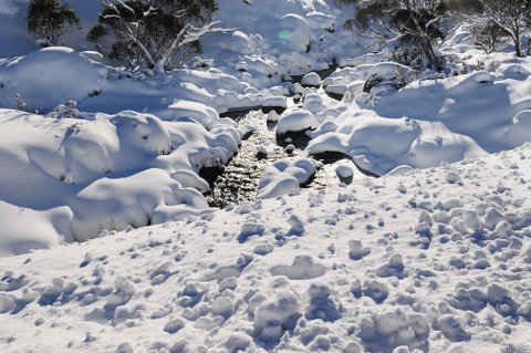 Powder 2a - Phillip Island Accommodation 2