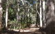 Karrak Reach Forest Retreat - thumb 4