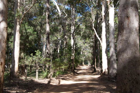 Karrak Reach Forest Retreat - Phillip Island Accommodation 4