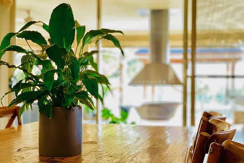 Grand Gippsland Home Sleeps Up To 28 - Phillip Island Accommodation 4