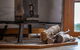 Double Oaks Tiny House - thumb 3