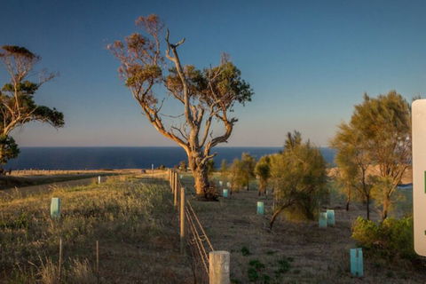 Fleurieu Coastal Retreat Lot 150 Myponga Beach Road - Phillip Island Accommodation 2