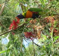 Clifton Beach Retreat