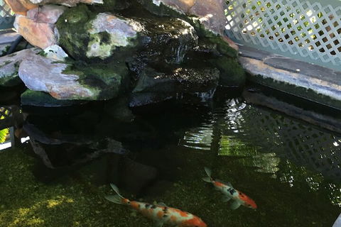 Quality Inn The Willows - Phillip Island Accommodation 3