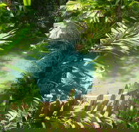 Palm Cove Tropic Apartments - Phillip Island Accommodation