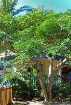 Ewingsdale NSW Phillip Island Accommodation