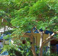 Amber Gardens Guesthouse - Phillip Island Accommodation