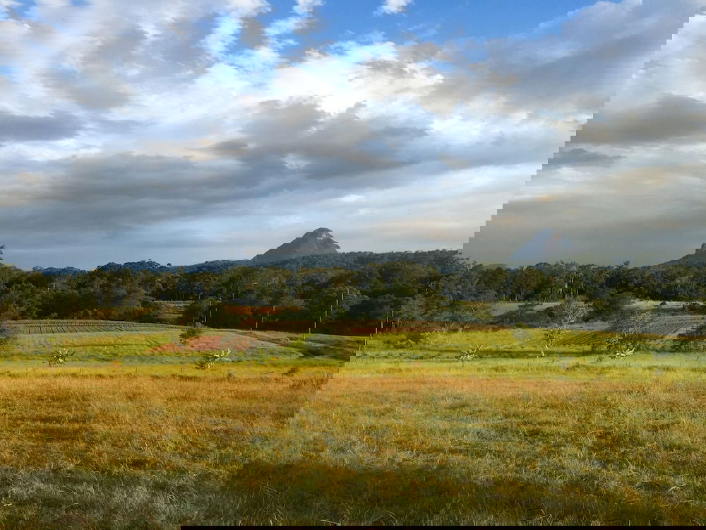 Crohamhurst QLD Phillip Island Accommodation