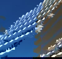 Northwind Holiday Apartments Mooloolaba