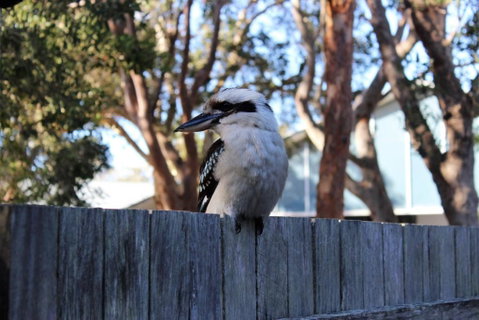 POINT BREAK WEEKLY ONLY - Phillip Island Accommodation 2