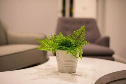 Astrina Garden View 2 Bedroom - Phillip Island Accommodation 6