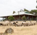 Gilgraves Vineyard Farmstay - Phillip Island Accommodation