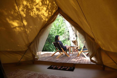 Castlemaine Gardens Luxury Glamping - Phillip Island Accommodation 6