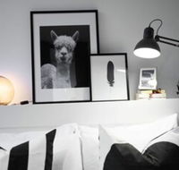 105flora Cozy Stay Prahran Lively Neighbour - Phillip Island Accommodation